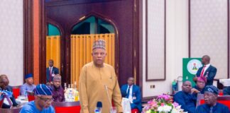 VP Shettima: Posterity will remember President Tinubu as a Decisive Leader