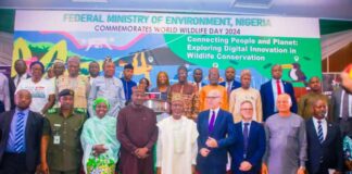 Balarabe Advocates for Protection of Digital Ecosystem