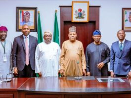 NSIA, NSP Sign Agreement for Shiroro Solar Generating Company