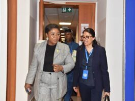 Permanent Secretary, Federal Ministry of Education, Mrs. Didi Walson-Jack, OON,mni (left)with Nigeria Education Group Co-Chair, Saadhna Panday-Soobrayan (right)during the 7th Meeting of the Nigeria Education Group at the UN House, Abuja on Thursday.