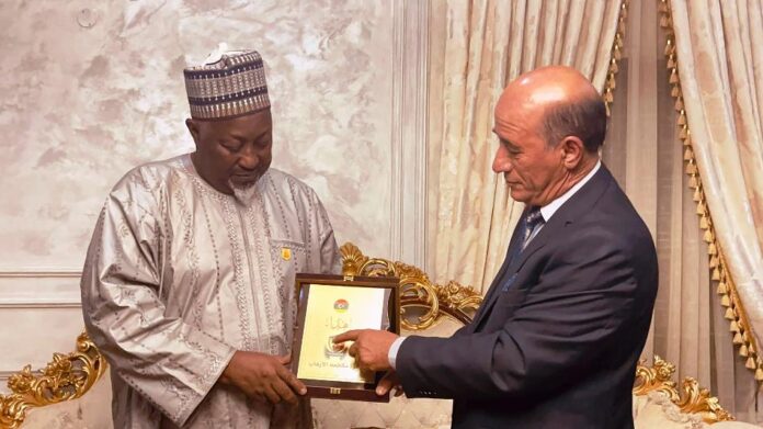 Insecurity: Badaru calls for synergy with Libya to stop Proliferation of Small Arms and Light Weapons
