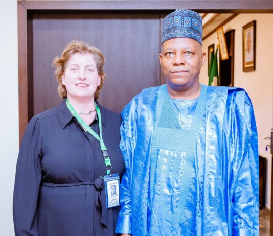 VP, Sen. Kashim Shettima, CWEIC CEO, Rosie Glazerbrook, at the Presidential Villa earlier today