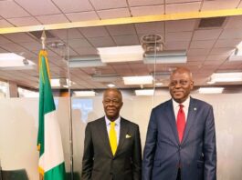 FG TO ATTRACT NIGERIA'S FOREIGN SAVINGS WITH NEW DIASPORA BOND