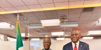 FG TO ATTRACT NIGERIA'S FOREIGN SAVINGS WITH NEW DIASPORA BOND