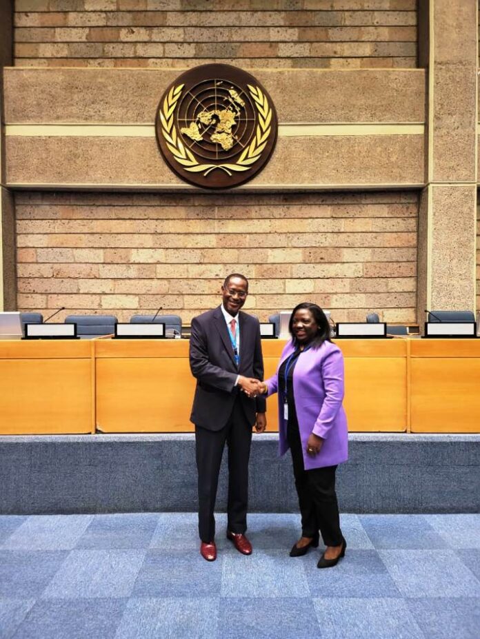 Dangiwa Meets African Group Members of UN Habitat Executive Board