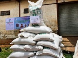 NEMA Hands Over Grains to Kaduna State government for Distribution to Vulnerable Persons