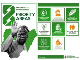 President Tinubu’s First Anniversary: Reflecting on Year One, and Welcoming the Promising Future