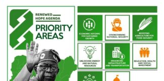 President Tinubu’s First Anniversary: Reflecting on Year One, and Welcoming the Promising Future
