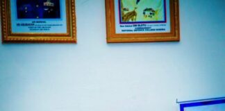 Proliferation of Small and Light Weapons Major cause of Crude Oil Theft and other Crimes in Niger Delta- Badaru