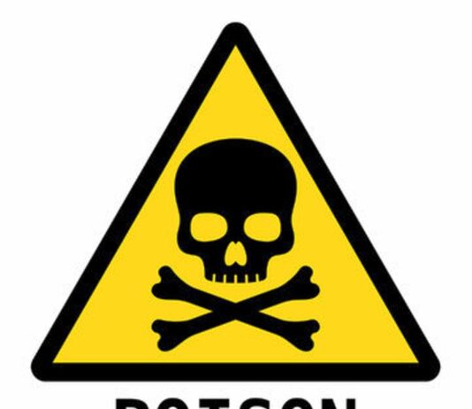 Poison in Trade Animals at Mandate Cattle Market in Kwara State