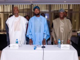 Nigeria Takes Giant Leap In Connectivity With $2 Billion Fibre-Optic Project