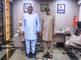 FG, Cross-River Deepen Cooperation To Address Illegal Mining