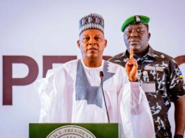 Vice President Kashim Shettima