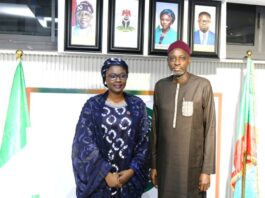 FG urged to give the Youths "actual power" to participate in policy making