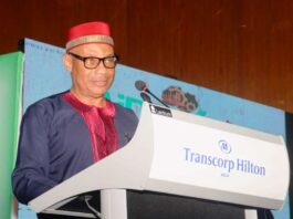 Keyamo woos investors, says industry key to boost trade, tourism, create jobs