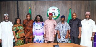 FG To Combats Sand And Dust Storm In The Country