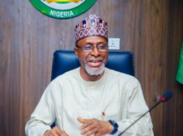 Minister of Environment, Balarabe Abbas Lawal