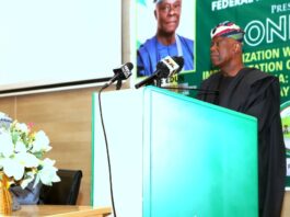 Honourable Minister of Finance and Coordinating Minister of the Economy, Mr. Wale Edun