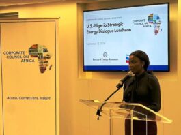 At Inaugural US-Nigeria Strategic Energy Dialogue, Government of Nigeria Highlights Key Sector Reforms