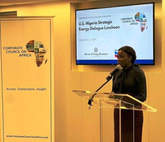 At Inaugural US-Nigeria Strategic Energy Dialogue, Government of Nigeria Highlights Key Sector Reforms