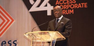 Honourable Minister of Finance and Coordinating Minister of the Economy, Mr Wale Edun