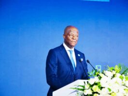 Honourable Minister of Finance and Coordinating Minister of the Economy, Mr Wale Edun