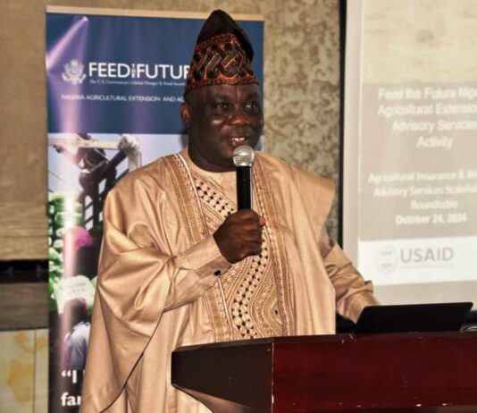 The Representative of the Minister of Agriculture and Food Security, Director, Federal Department of Agricultural Extension Services, Dr Deola Tayo Lordbanjou, during the Roundtable Meeting in Abuja.
