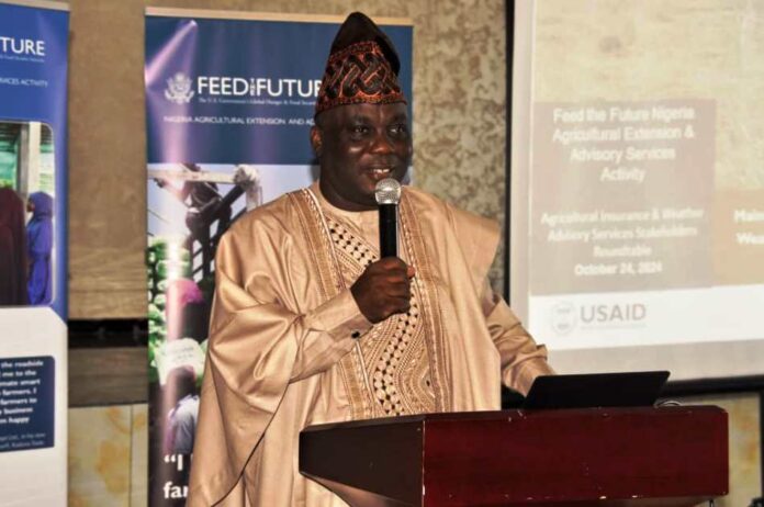 Climate Change - Dr Deola Tayo Lordbanjou The Representative of the Minister of Agriculture and Food Security, Director, Federal Department of Agricultural Extension Services, Dr Deola Tayo Lordbanjou, during the Roundtable Meeting in Abuja.