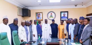 FROM LEFT TO RIGHT Prof. Demo Kalla - TETFUND Centre of Exellence on food Security ATBU Bauchi. Abubakar Turaki- MD PSGN Iliya Sanda - G M TSC Abuhuraira Musa - Legal Dr. Lawan Sani - Biotechnologist Victor Terah - TCS Prof. Nasiru Maiturare - TCS Finance Dr Armstrong Takang - MOFI Sen. Ibrahim Turak - Chairman Wale Edun - Honorable Minister of Finance and Coordinating Minister of the Economy Prof. Hussaina Makun TCS Livestock Imrana Habu - Project Manager PSGN Tajudeen Ahmad - ED MOFI Prof. Salisu Mamman - TCS Finance Idris M. Nazif - Farming Consultant Lateef Surakatu - Partner, Anderson Ma'ameen Aliyu - MD HJRBDA Mayowa Salami - Associate Director, Anderson