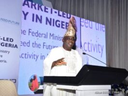 The Minister of Agriculture and Food Security, Sen Abubakar Kyari, represented by the Director, Federal Department of Agricultural Extension Services, Dr. Deola Tayo Lordbanjou, during the National Impact Workshop in Abuja.
