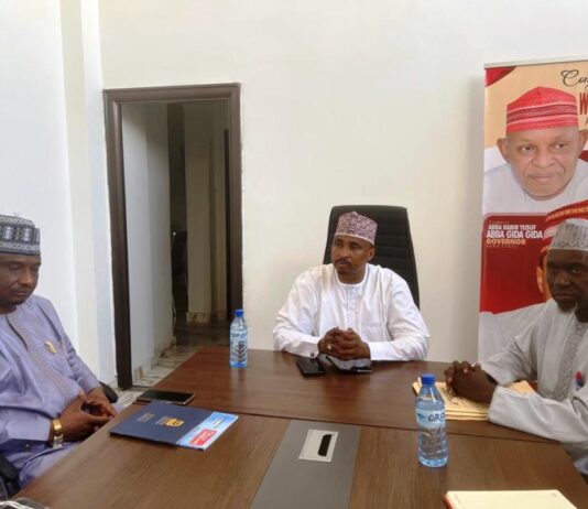 Kano State Boasts Abundant Mineral Resources, Poised for Global Impact
