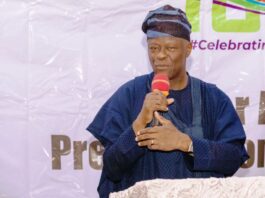 Honourable Minister of Finance and Coordinating Minister of the Economy, Mr Wale Edun