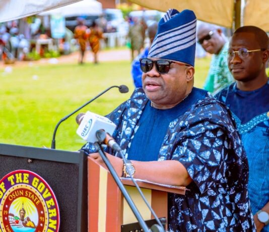 World Food Day: Governor Adeleke Lists Milestones In Agricultural Sector