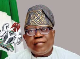 Prof. Tunji Olaopa - Hon. Chairman, Fed. Civil Service Comissions