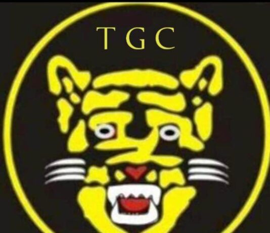 25 Skilled Professionals Among 250 Players To Compete For Honours At The 2 Div. Nigeria Army’s Tiger Golf Club Championship 2024