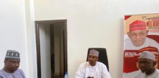 Kano State Boasts Abundant Mineral Resources, Poised for Global Impact