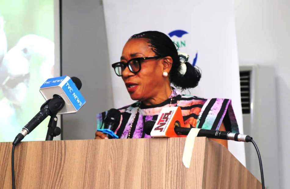 LOLA ADE--JOHN Former Minister of FEDERAL MINISTRY of TOURISM