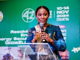 SPECIAL ADVISER TO THE PRESIDENT ON ENERGY, MRS. OLU AROWOLO VERHEIJEN