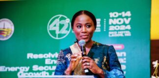 SPECIAL ADVISER TO THE PRESIDENT ON ENERGY, MRS. OLU AROWOLO VERHEIJEN
