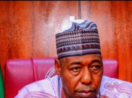 Borno State Governor, His Excellency, Professor Babagana Umara Zulum