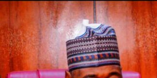 Borno State Governor, His Excellency, Professor Babagana Umara Zulum