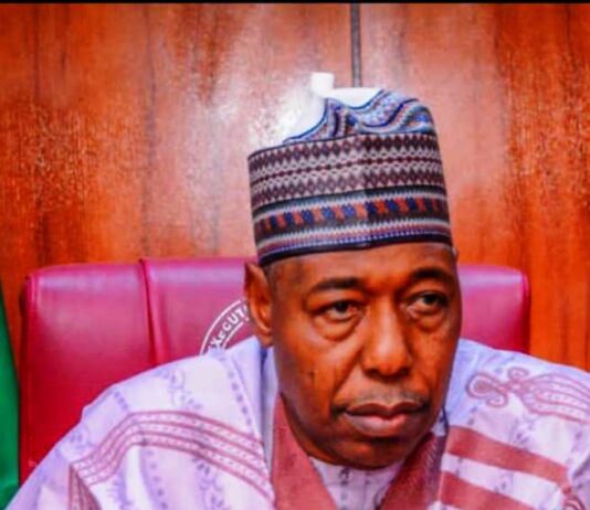 Borno State Governor, His Excellency, Professor Babagana Umara Zulum