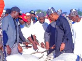 Zulum Shares Tinubu's 100 Trucks Of Grains in Borno Community