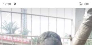 Kano State Ministry of Humanitarian Affairs Rescues and Assists Distressed Man