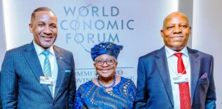 AT 2025 WEF, VP Shettima Markets Nigeria, Africa As Investment Destination