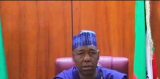 Borno State Governor, His Excellency, Prof. Babagana Umara Zulum