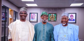 Nasarawa Pivotal To Minerals Development – Alake