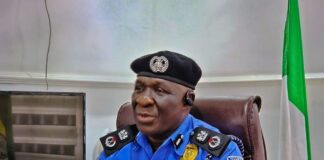Delta State Police Commissioner, CP. Abaniwonda Olufemi.