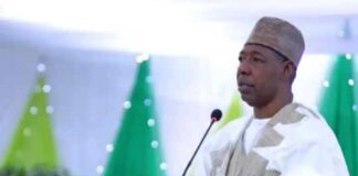 Borno State Governor, Babagana Umara Zulum