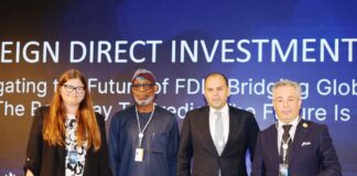 Tariffs May Be A Blessing In Disguise, For Africa - Alake